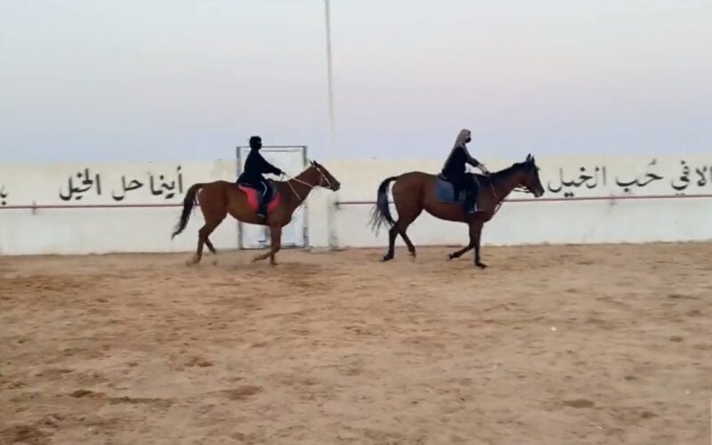 البوكس نيوز – سعوديات يروين تجربتهن في ممارسة رياضة ركوب الخيل بـ”حفر الباطن” • البوكس نيوز