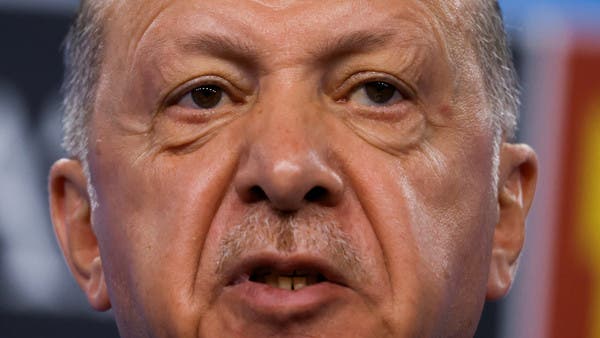 البوكس نيوز – أردوغان سيتصل ببوتين وزيلينسكي بشأن اتفاق الحبوب
