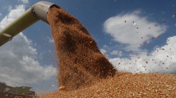 البوكس نيوز – رغم أزمة أوكرانيا.. واردات مصر من القمح تقفز 79% في أغسطس