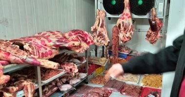 البوكس نيوز – استقرار أسعار اللحوم فى السوق المصرى بتعاملات الخميس